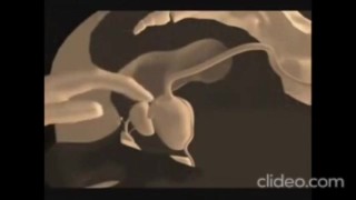 Prostate massage at home