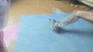 Real Holland Sex Fantasy