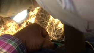 sucking married black dick in San Diego