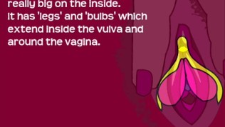 Bish Guide to the Clit