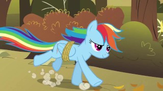 My Little Pony, Friendship is Magic – Episode 13: Fall Weather Friends