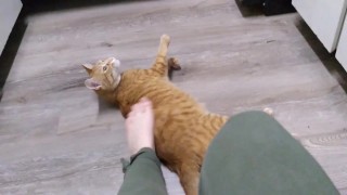 My Real Foot Slave Isn’t Here Because Of Coronavirus